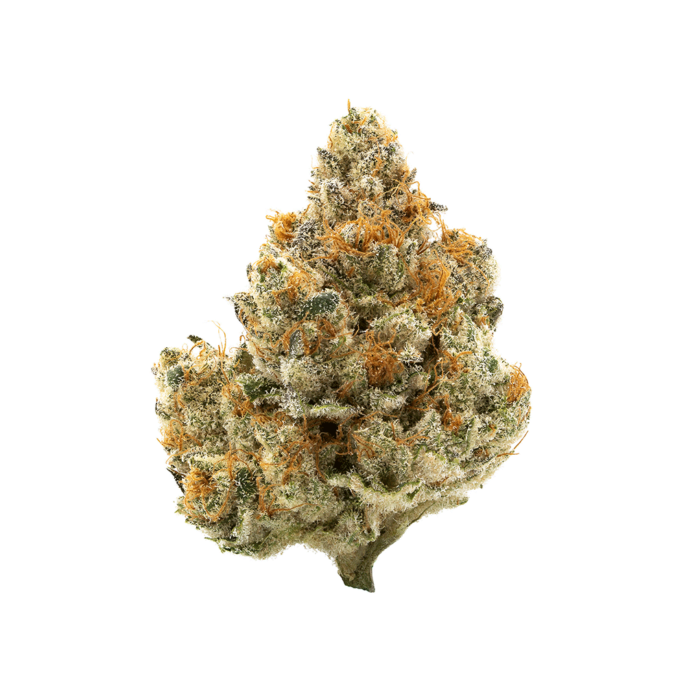 Cherry X Banana Glass House Premium