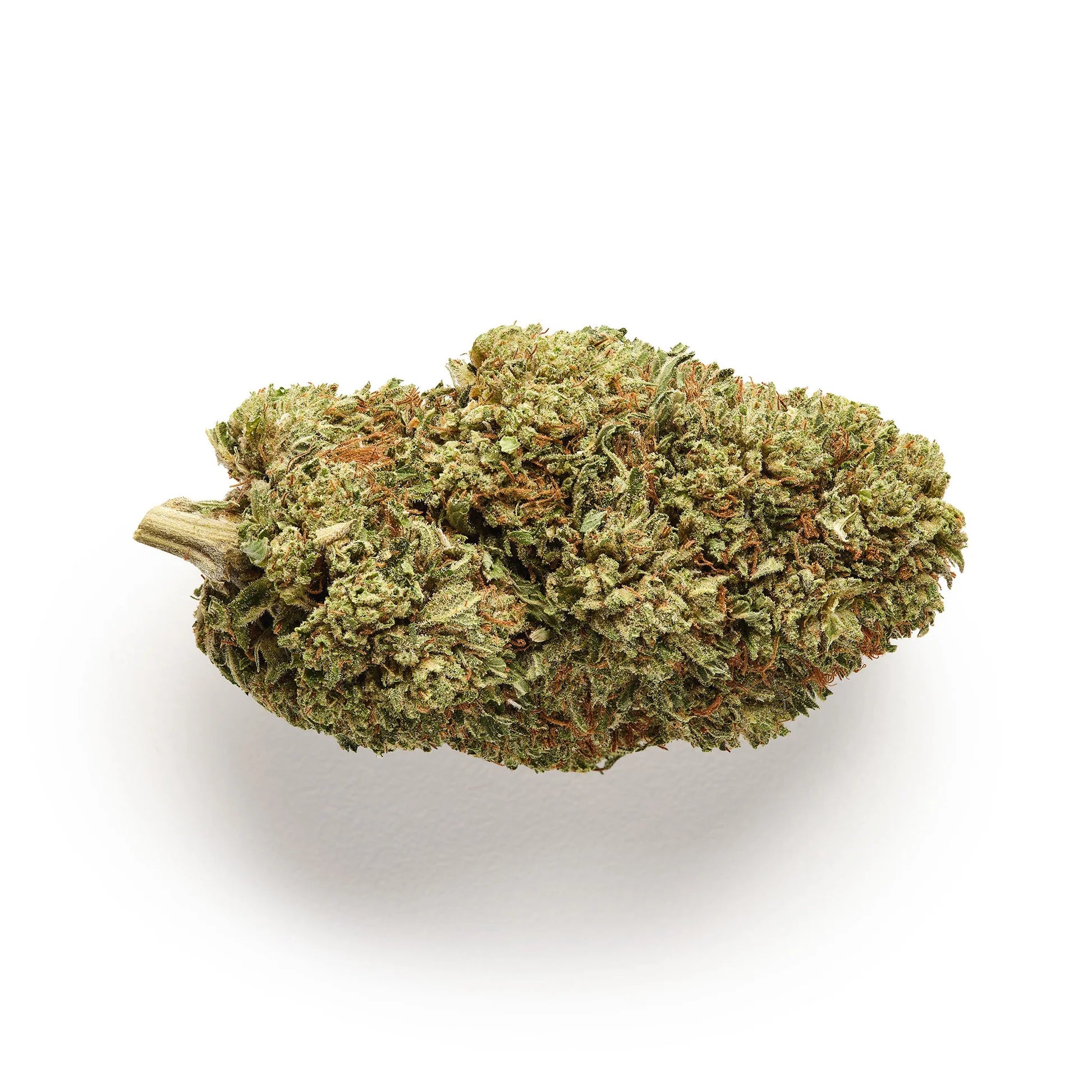 OG Kush Glass House Premium