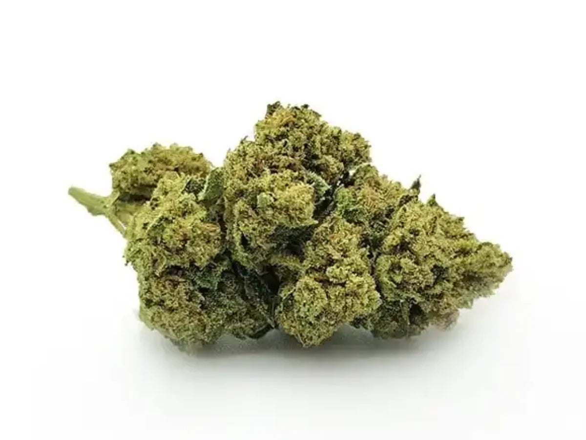 Pop Indoor Method - Popcorn Bud flores