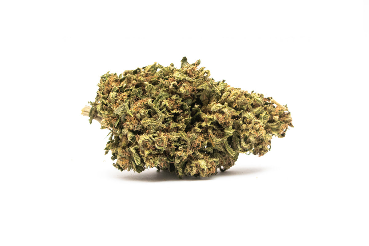 Pop Indoor Method - Popcorn Bud flores