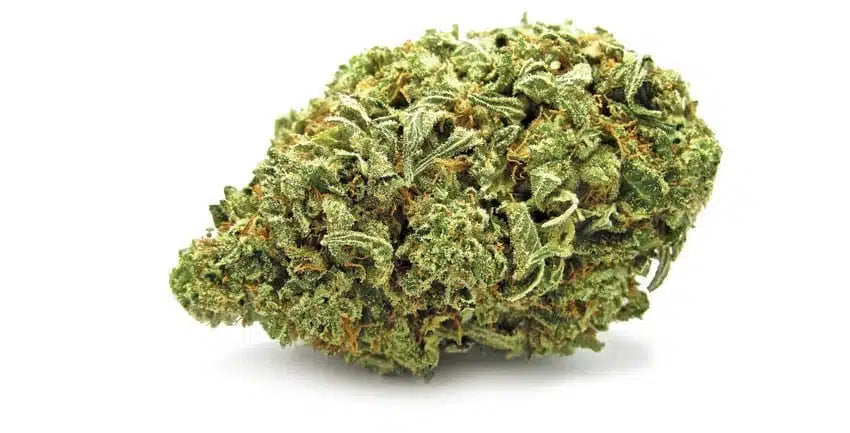 Hawaiian Haze CBD Glass House
